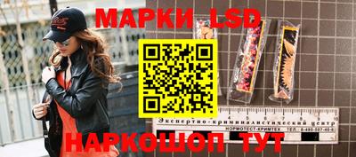 гидропоника Пенза