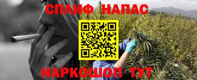 ALPHA PVP Обь