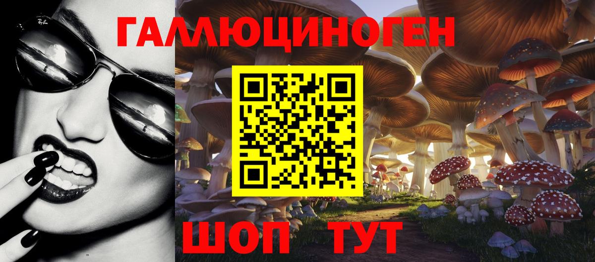 Галлюциногенные грибы прущие грибы  Галлюциногенные грибы Cubensis  Вход с VPN  Улан-Удэ 