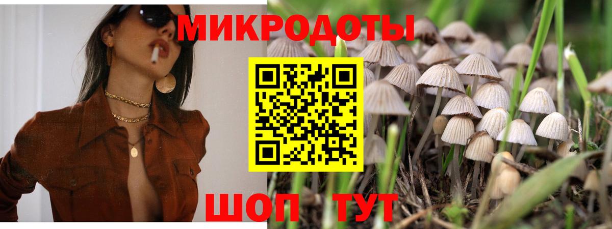 Псилоцибиновые грибы GOLDEN TEACHER Улан-Удэ