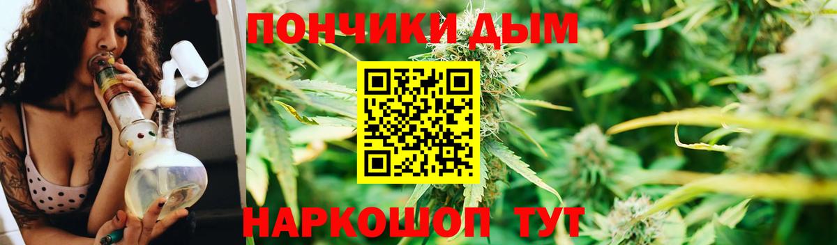Конопля сатива  Шишки марихуана план  Вход с VPN  Улан-Удэ 